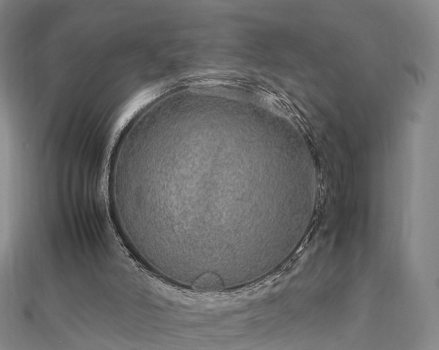 X0000113010006200909031323