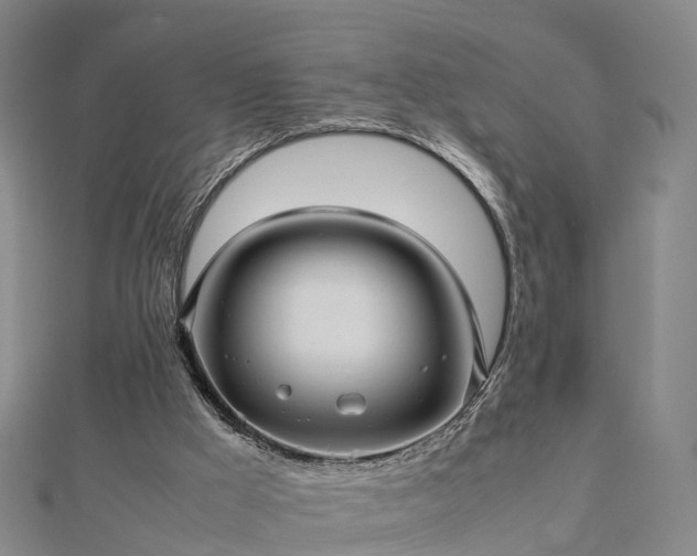 X0000113010009200909031323