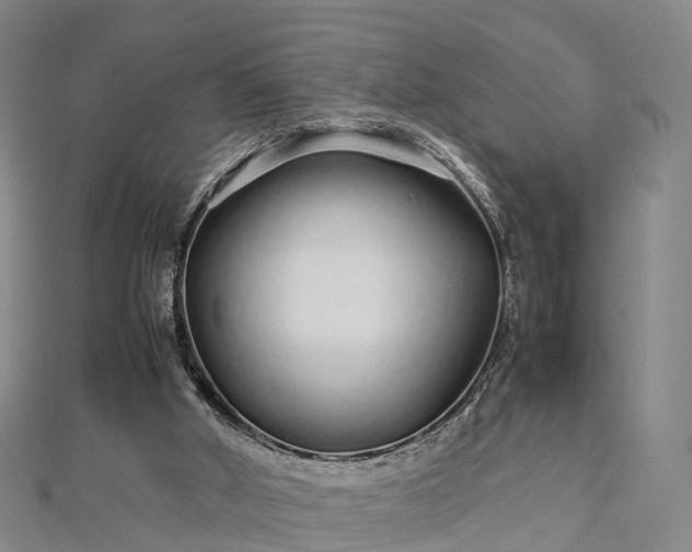 X0000113010010200909031323