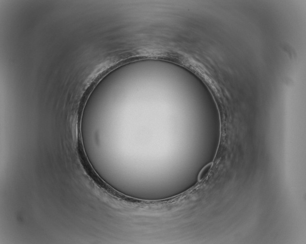 X0000113010011200909031323