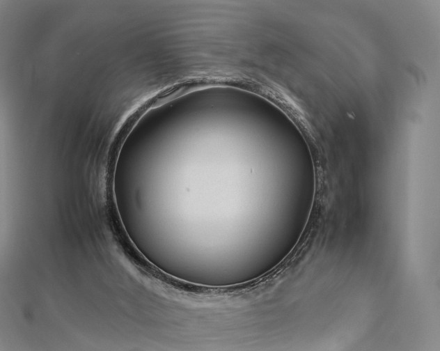 X0000113010012200909031323