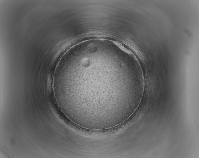 X0000113010014200909031323