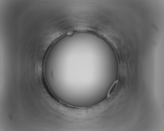 X0000113010015200909031323