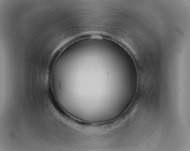 X0000113010016200909031323