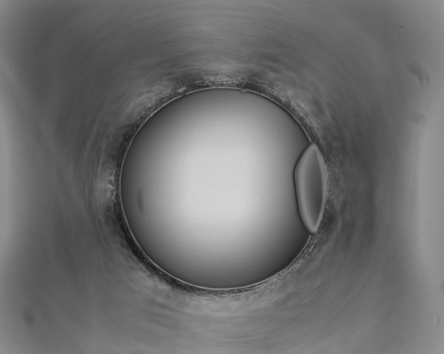 X0000113010017200909031323