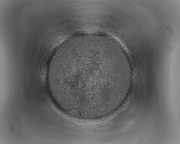 X0000113010018200909031323