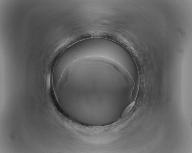 X0000113010019200909031323