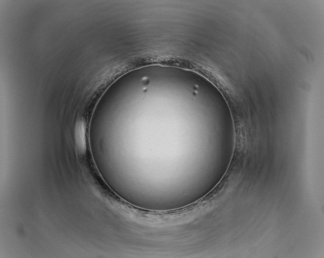 X0000113010022200909031323