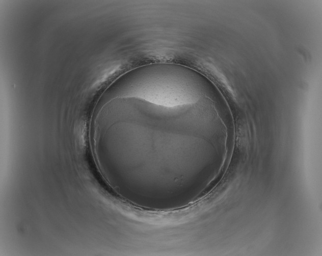 X0000113010023200909031323