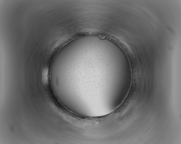 X0000113010024200909031323