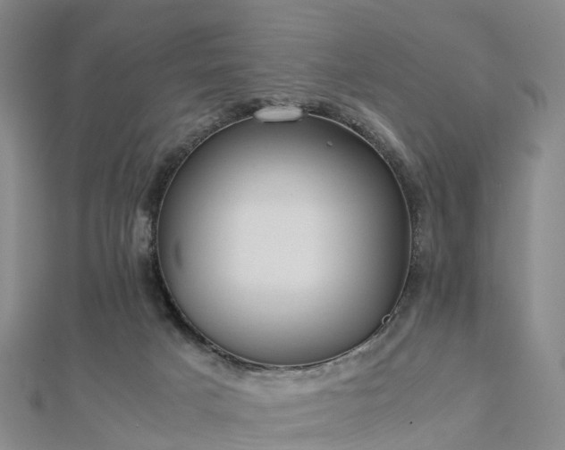 X0000113010025200909031323