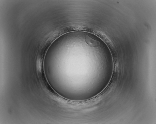 X0000113010026200909031323