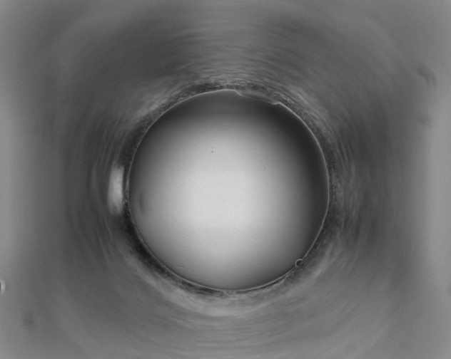 X0000113010028200909031323