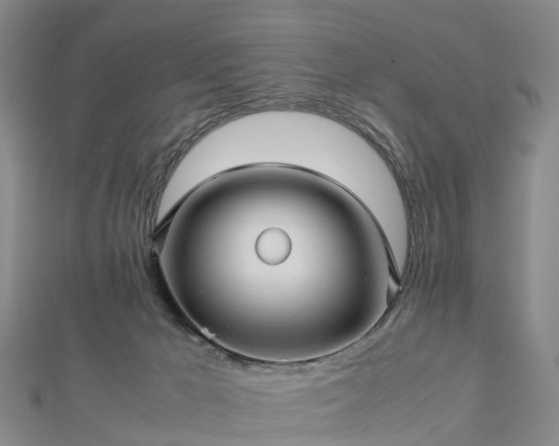 X0000113010029200909031323