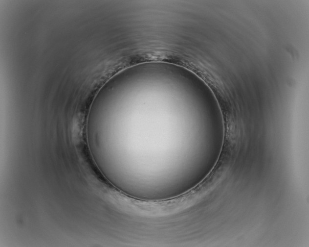 X0000113010030200909031323