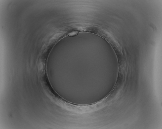 X0000113010031200909031323