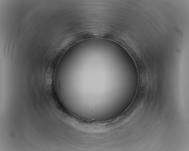 X0000113010032200909031323