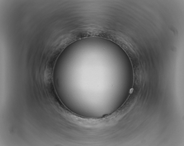 X0000113010034200909031323