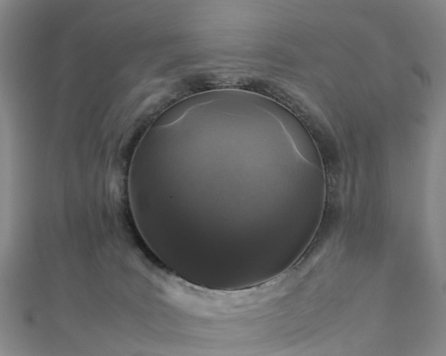 X0000113010035200909031323