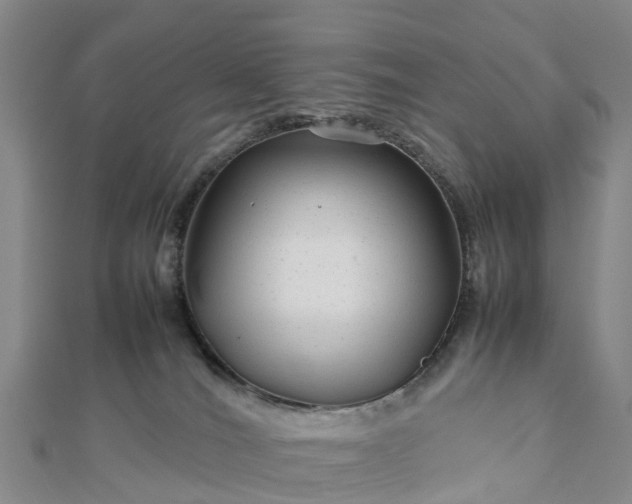 X0000113010036200909031323