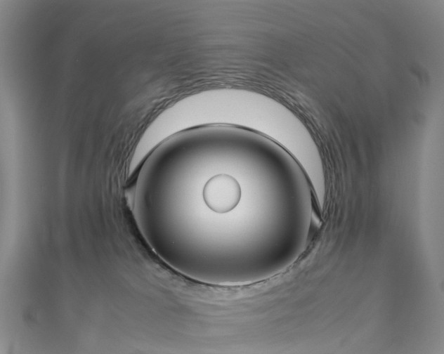 X0000113010037200909031323