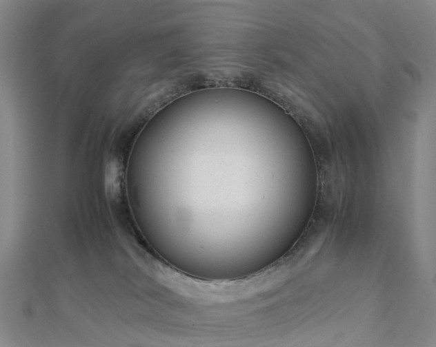 X0000113010038200909031323