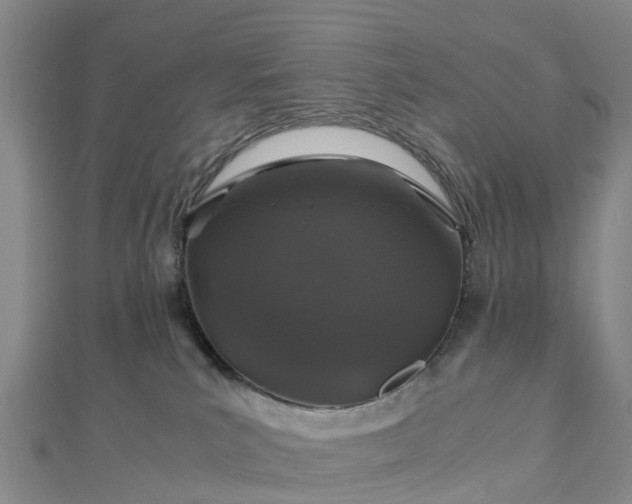 X0000113010039200909031323