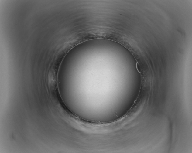 X0000113010040200909031323