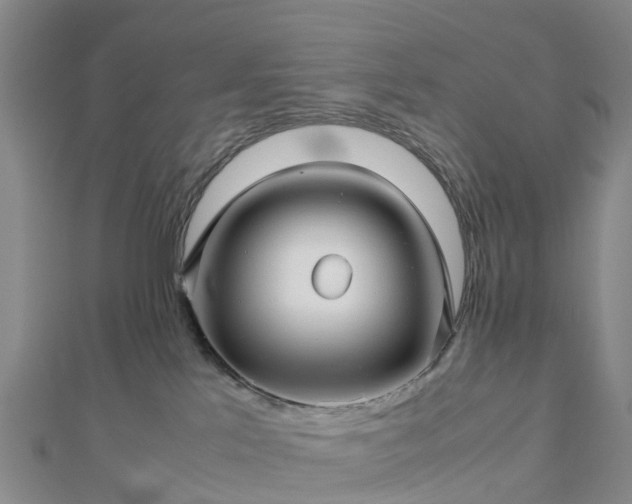 X0000113010041200909031323