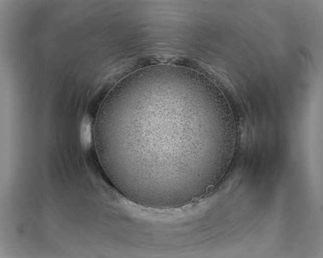 X0000113010042200909031323