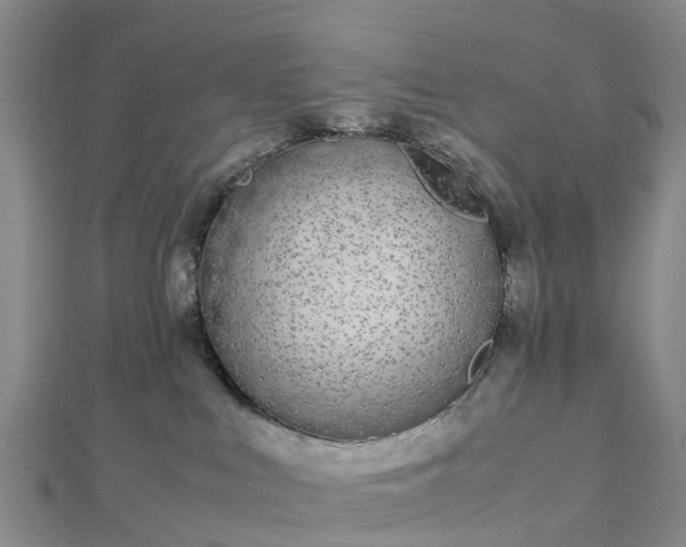 X0000113010043200909031323