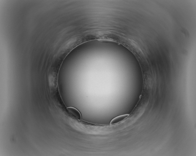 X0000113010044200909031322