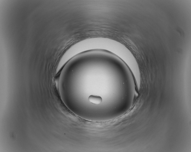 X0000113010045200909031322