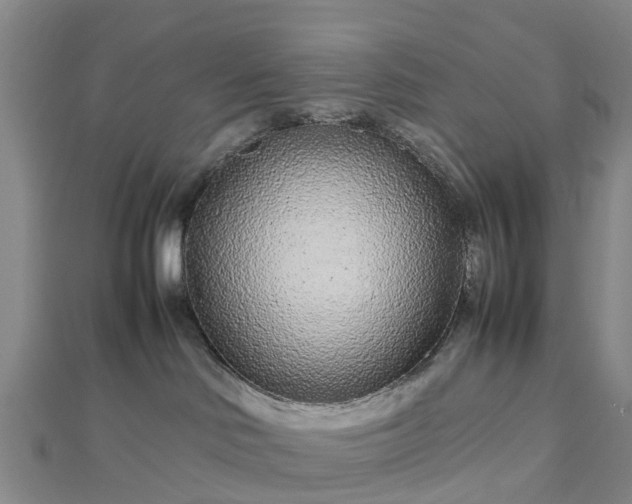 X0000113010046200909031322