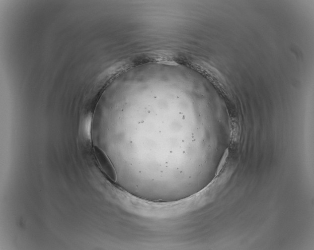 X0000113010047200909031322