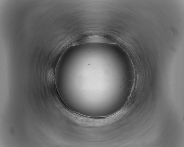 X0000113010048200909031322