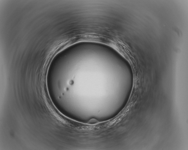 X0000113010049200909031322