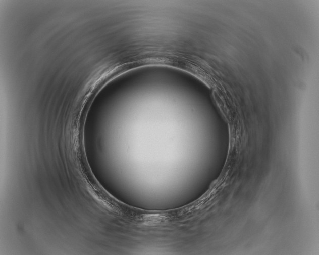 X0000113010050200909031322