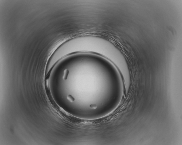 X0000113010052200909031322