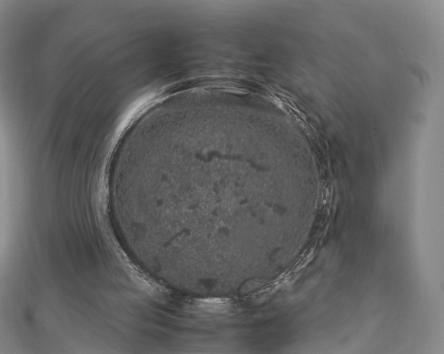 X0000113010053200909031322