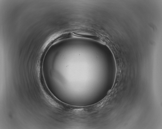 X0000113010054200909031322