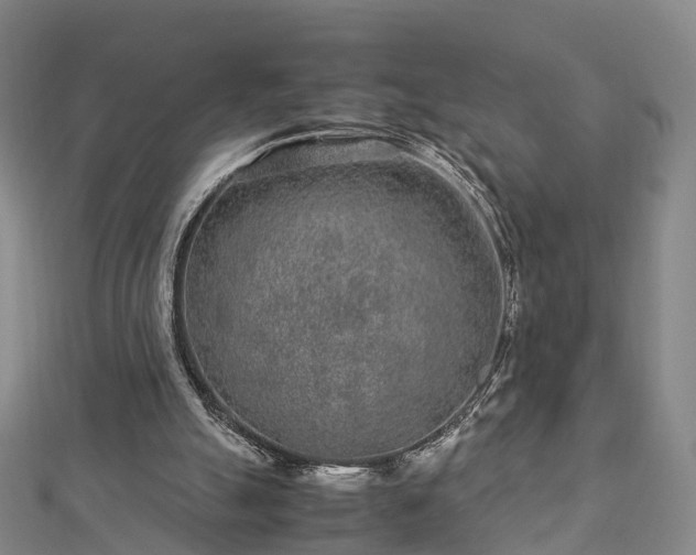 X0000113010055200909031322