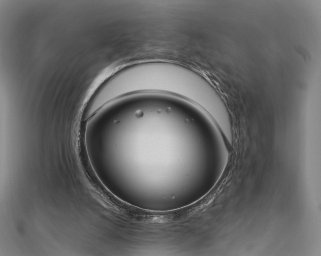 X0000113010056200909031322