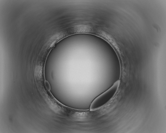 X0000113010057200909031322