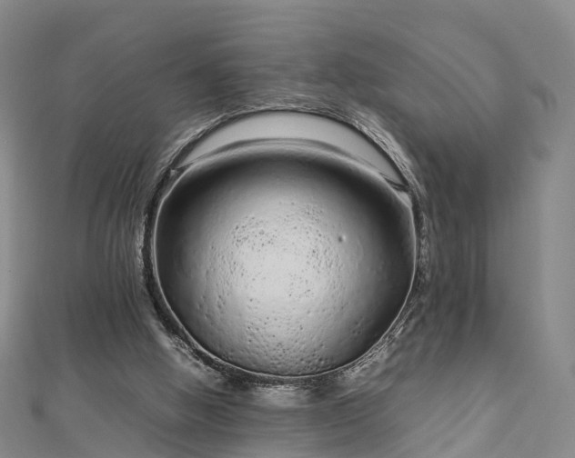 X0000113010058200909031322