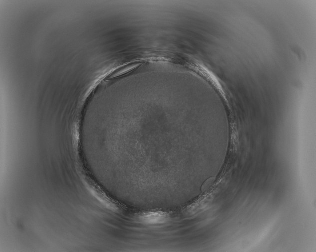 X0000113010059200909031322