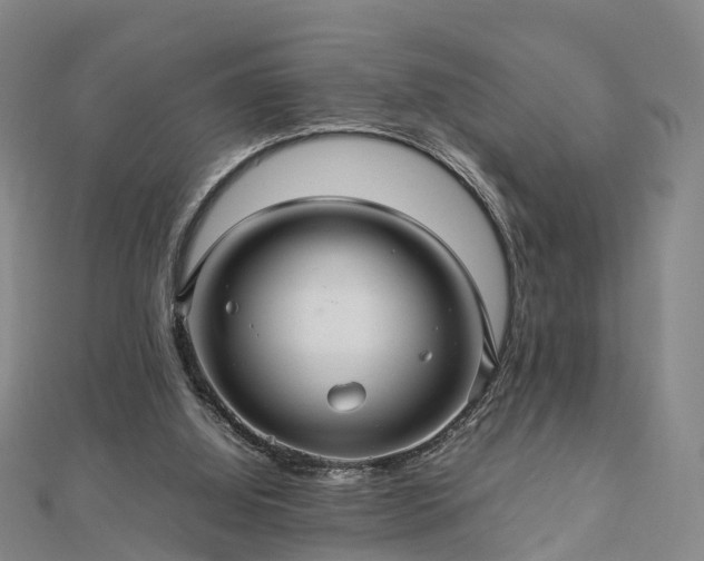 X0000113010060200909031322