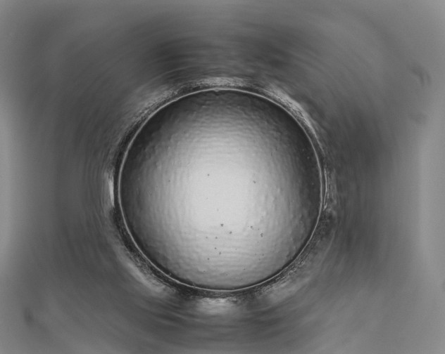 X0000113010061200909031322