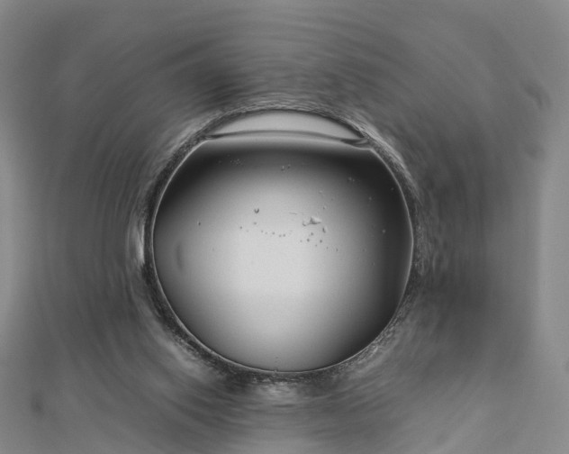 X0000113010062200909031322