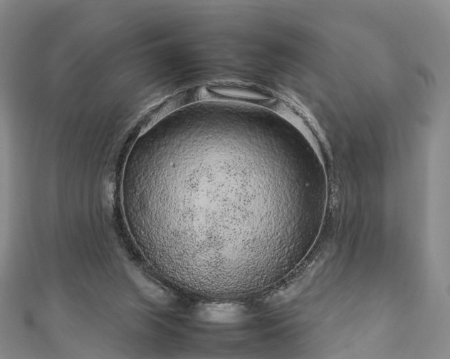 X0000113010063200909031322